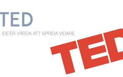TED: Hur du driver ett företag nästan utan regler