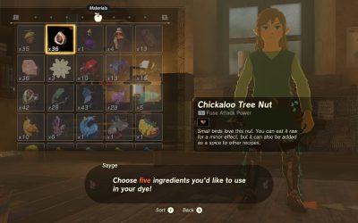 Zelda: Tears Of The Kingdom – How To Dye Your Armor And Paraglider