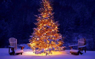 Magasin Mackens Adventskalender: Lucka 7 December 2023