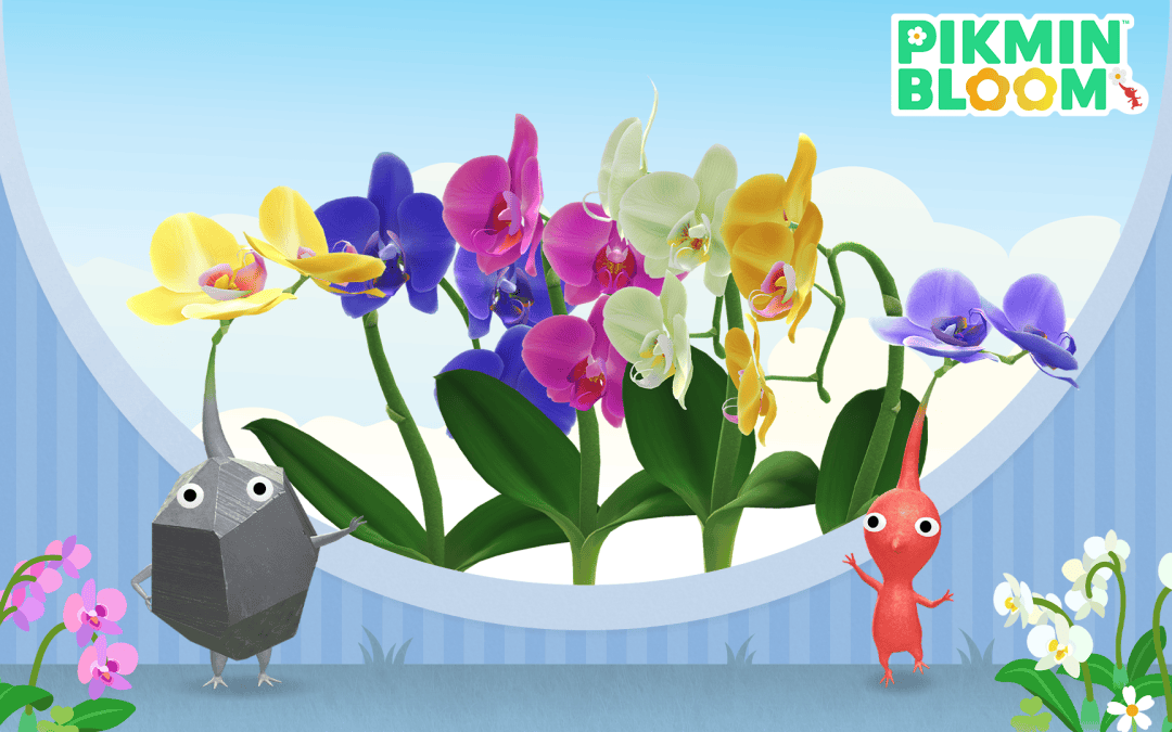 Nya blommor och uppdateringar i Pikmin Bloom under januari